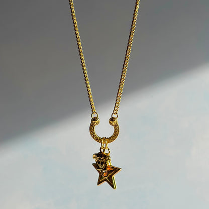 STARRY HORSESHOE
